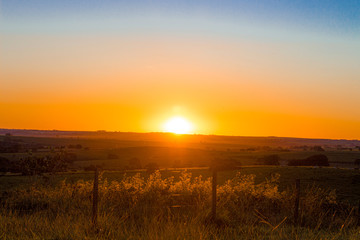 sunset over the field