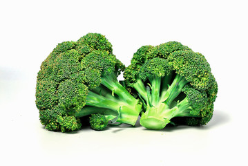 Broccoli arrange various styles on a white background.
