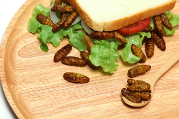 Fototapeta premium Sandwiches that use insects as a source of protein instead of meat.