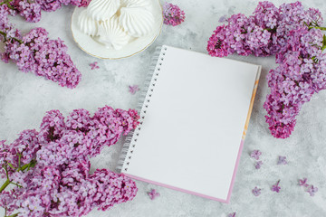 a clean Notepad, meringue blooming branch of lilac lie on a gray background