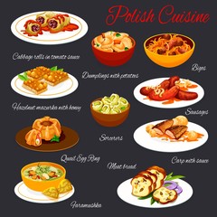 Polish cuisine, vector meals menu template. Poland meals cabbage rolls in tomato sauce, dumplings with potato, bigos dish and sausages. Meat bread, fish, faramushka and hazelnut mazurka with honey