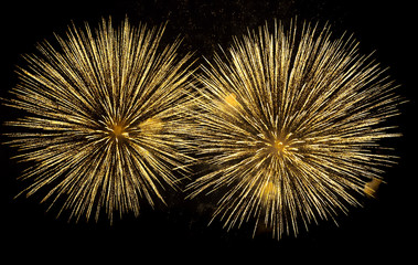Firework explode in night sky.