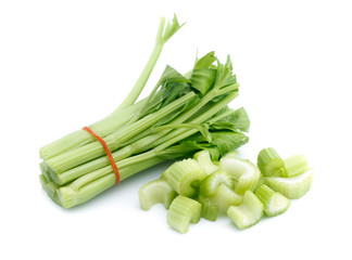 fresh celery isolated on white background