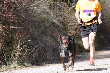 Dog and man taking part in a popular canicross race.