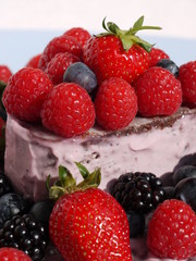 Die Waldfrucht-Torte