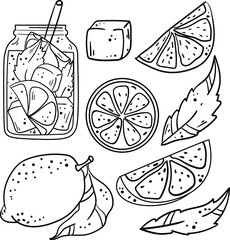Contour vector illustration with lemonade, ice, lemon and mint on white background. Good for printing. Coloring book ideas. Postcard and logo elements. Isolated set.