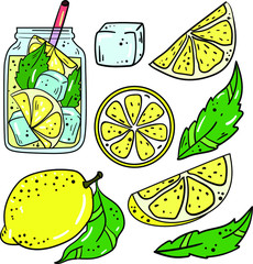 Color vector illustration with lemon, slices, part, lemonade, leaf, ice on white background. Postcard and logo idea. Hand drawn cartoon illustration. Good for printing. 