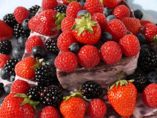 Die Waldfrucht-Torte