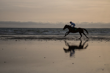 Silhouette of race horse and jockey racing  on the beach at dusk,  wild Atlantic way on the west...
