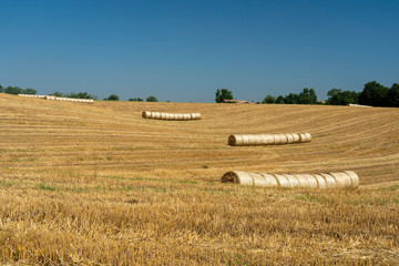 Fototapeta premium Country landscape in Reggio Emilia province
