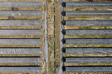 A number of barns on an old abandoned farm