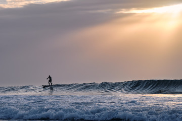 Sup Surfer action on ocean wave at sunset with sky and sea background