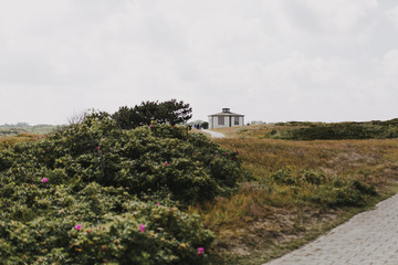 Spiekeroog - Lesepavillon