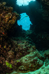 Naklejka na ściany i meble typical underwater cave in a red sea reef