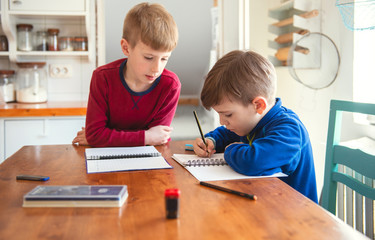 Brothers learning at home, Homeschooling	