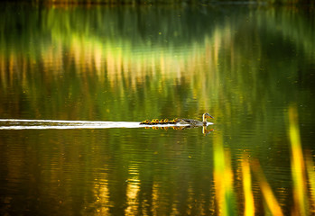 fountain in the park
