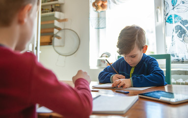 Brothers learning at home, Homeschooling	