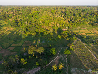 Aerial shot of argiculture fields at Pemba island, Zanzibar archipelago. Lush jungle forest on the Hills and flaps on fields on tropical island