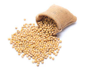 Soybeans  isolated on white background