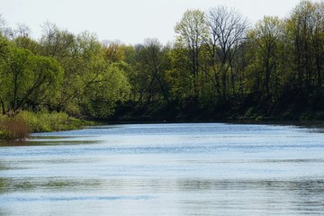 River Memele near Kurmene in spring on a sunny day, Latvia