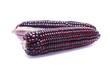Black Corn on white background