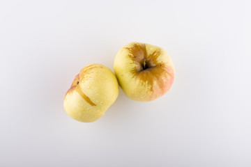 Ripe yellow apple variety Antonovka on a white background