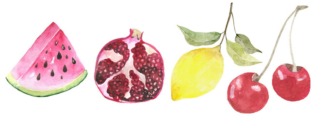 Hand drawn watercolor painting on white background.