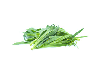 Tarragon herbs isolated on white