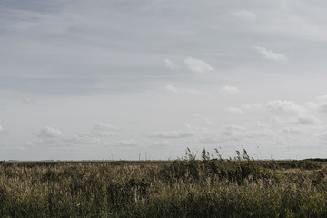 D&uuml;nenlandschaft
