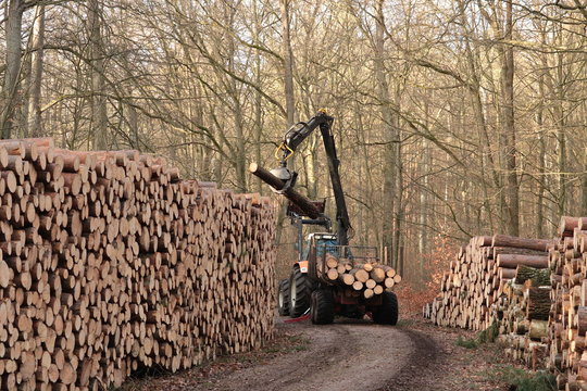 Traktor und Anh&auml;nger mit Kran beim Ablegen von Holzst&auml;mmen