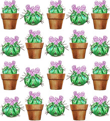 Watercolor cactus pattern. Illustration of a tropical garden in a watercolor style.