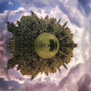 Little Planet Effect Of Trees On Field