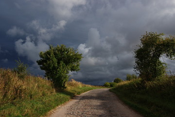 the cobblestone road