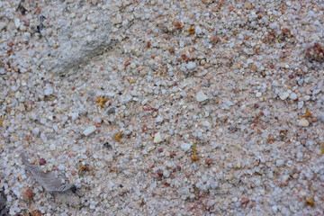 Close-up photos of brown ground and sand. Used as a background image.