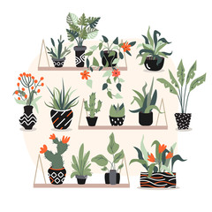 A nice and beautiful little garden at home where a lot of tropical exotic plants with leaves and rad flowers in black pots are places on the big pink wall. Completed and colored vector illustrations