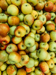 lots of ripe green sweet apples for eating like the background