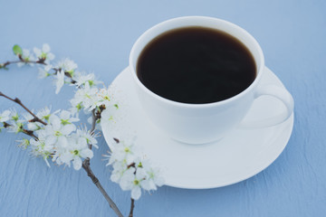 Flower sprig and cup of coffee on a blue table. top view.Outdoors
