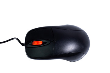 mouse computer isolated on white blackground