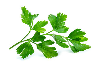 parsley leaf isolated on white background