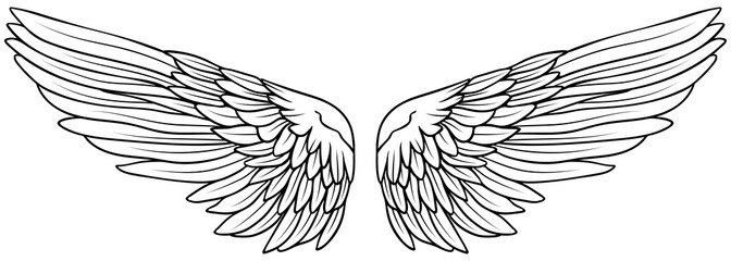 Beautiful black and white hand drawn vector