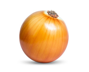 onion isolated on white background