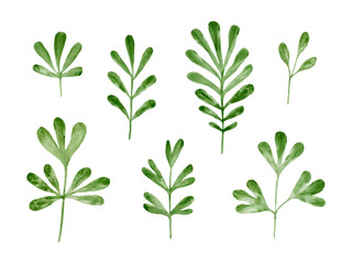 Set of green watercolor leaves prints isolated on white background. Collection of botanical scrapbook elements in minimal design