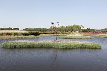 한국 경기도 시흥시 시흥갯골생태공원 입니다