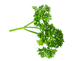 Parsley isolated on white background