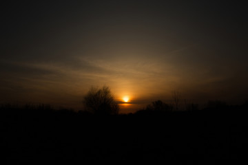 Beautiful orange sunset with silhouettes of a trees.