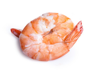 shrimp isolated on white background