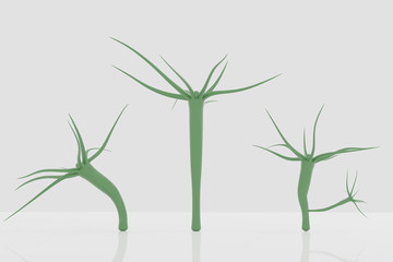 Hydra is a genus of small fresh-water animals of the phylum Cnidaria and class Hydrozoa.