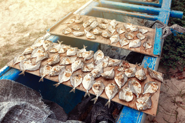 Sea fish wobbles in the sun in a fishing village