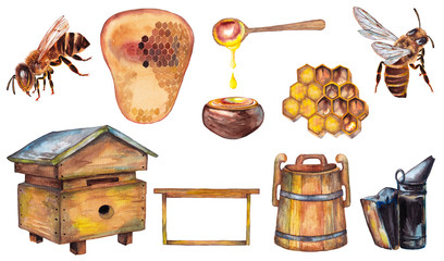 Big set of colorful realistic of beekeeping goods, honey and bees. Wooden bee hive apiary, wax combs, frame, barrel, smoker. Watercolor hand painted isolated elements on white background.