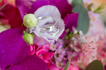 pink and white orchids